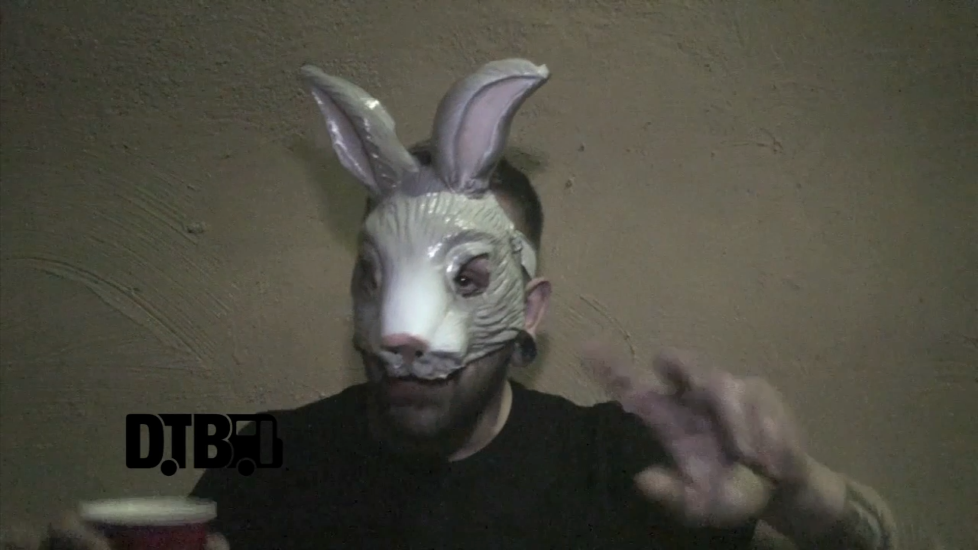 The Bunny The Bear – DREAM TOUR [VIDEO]