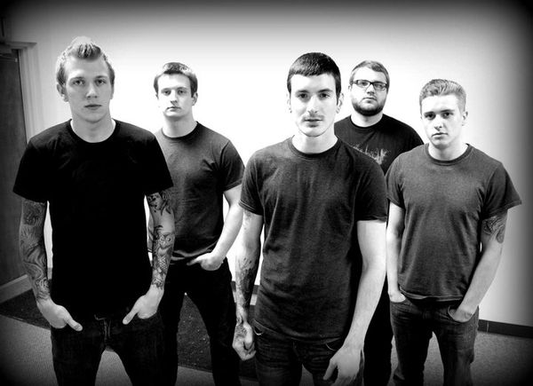 The Analyst – TOUR TIPS