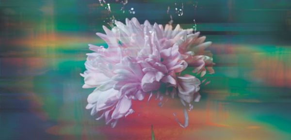 Motionyear – FIRST CONCERT EVER