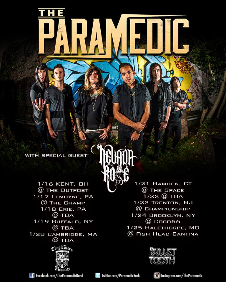 The Paramedic - U.S. Tour January 2015 - poster