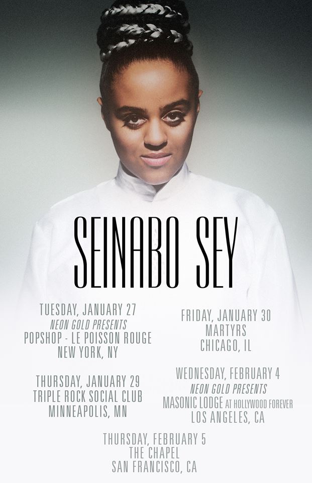 Seinabo Sey - Winter U.S. Tour - poster