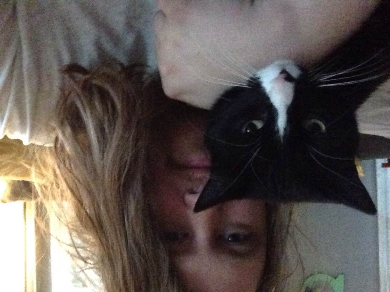 Luke and his cat Jack hanging out as he writes his last Digital Tour Bus entry in the comfort of his own home.