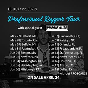 Lil Dicky - 2015 Tour Poster