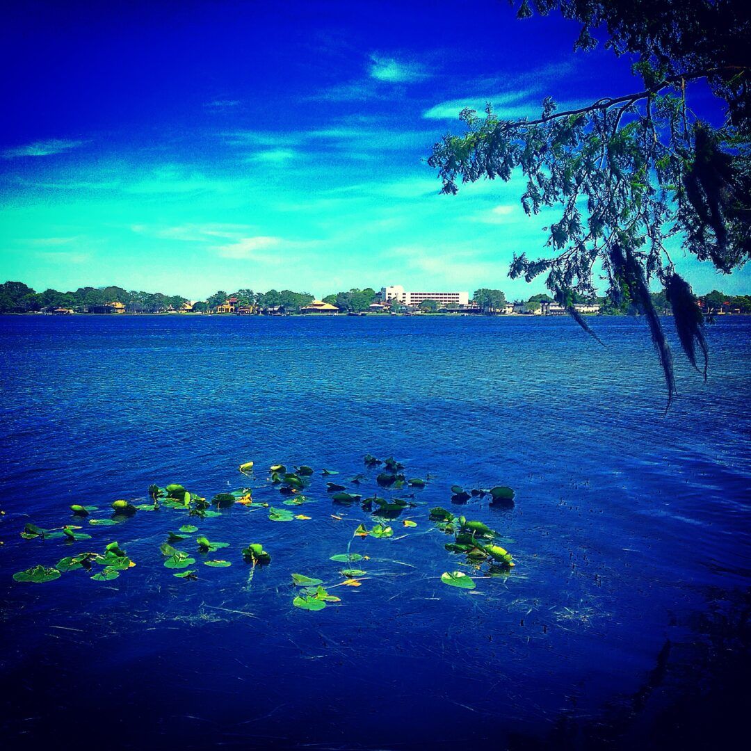 Uh Huh Baby Yeah - blog 4 - photo 4