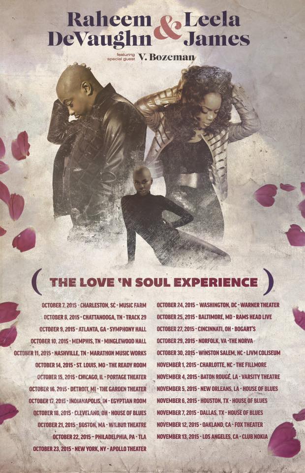 Raheem DeVaughn - The Love 'N Soul Experience Tour - 2015 Tour Poster