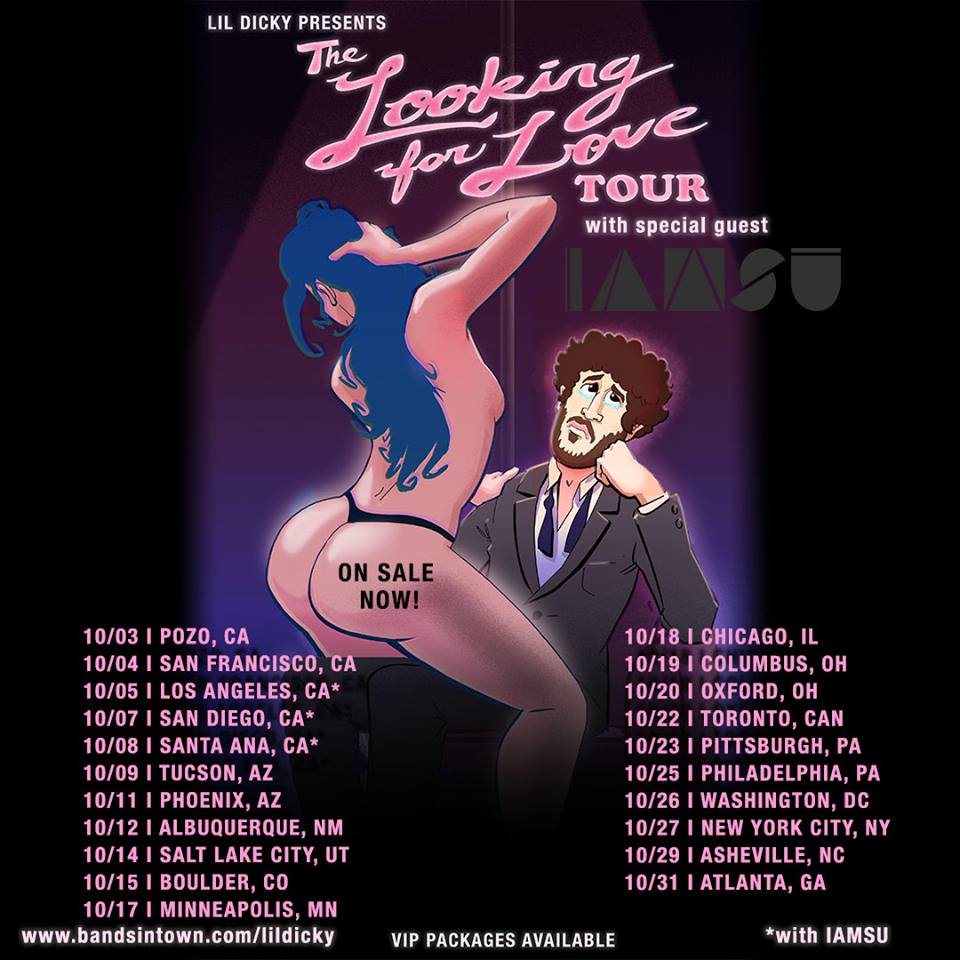Lil Dicky - The Looking For Love Tour - poster