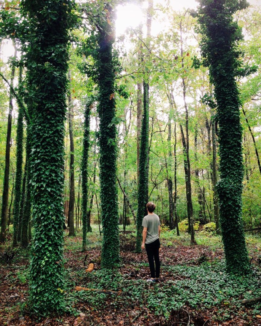 Casey getting tree time in Carolina