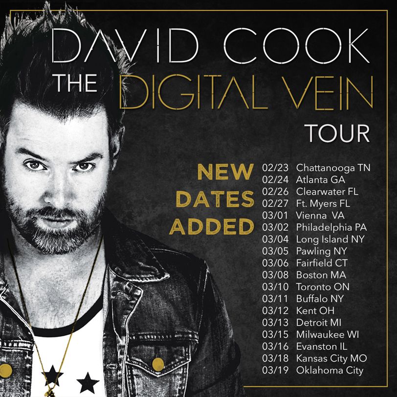 David Cook - Digital Vein Tour - poster
