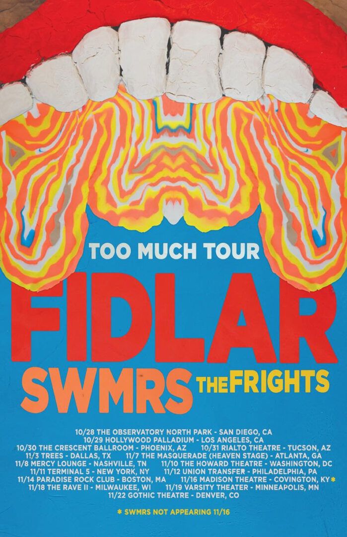 Fidlar - Too Much Tour - poster