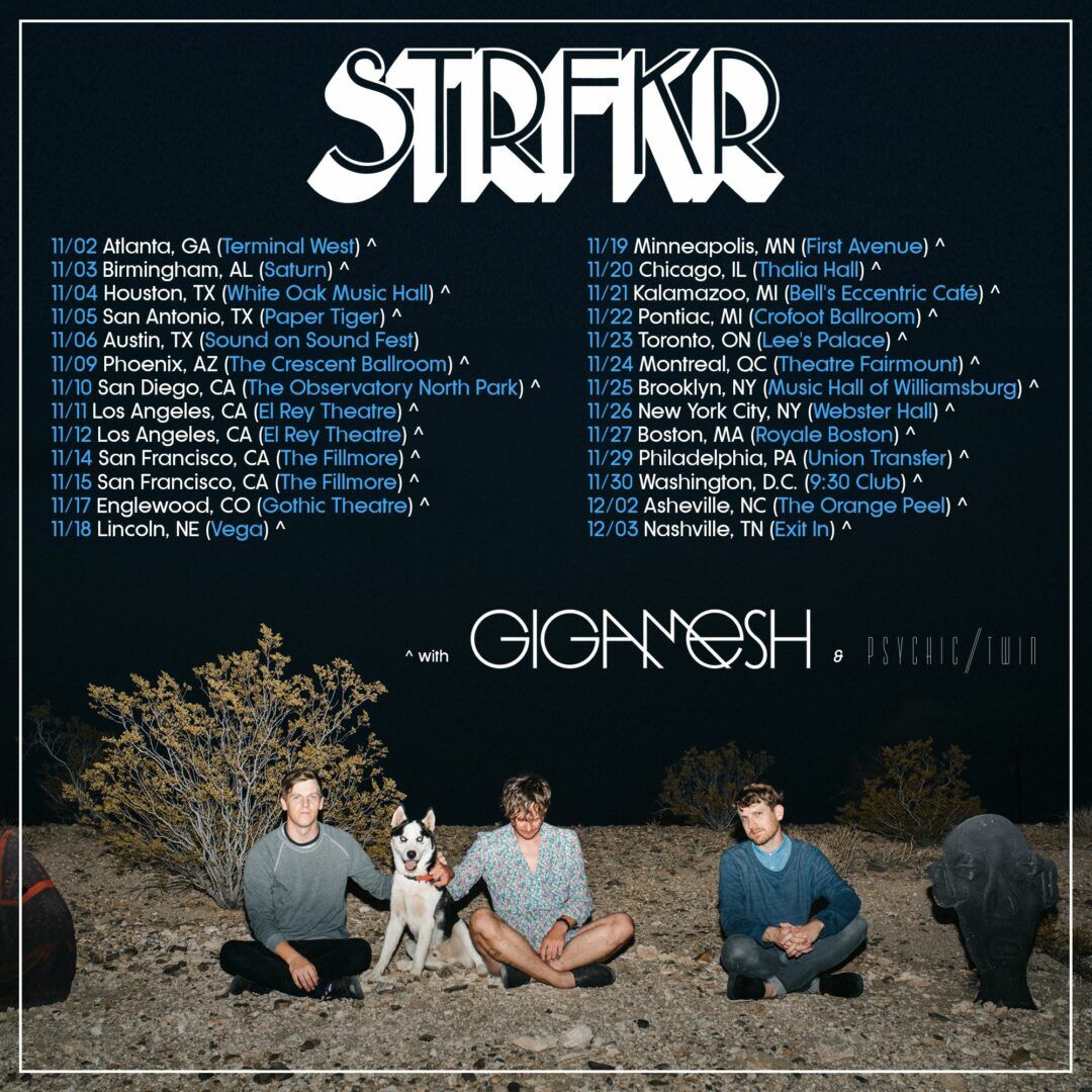 Strfkr - Fall North American Tour - 2016 Tour Poster